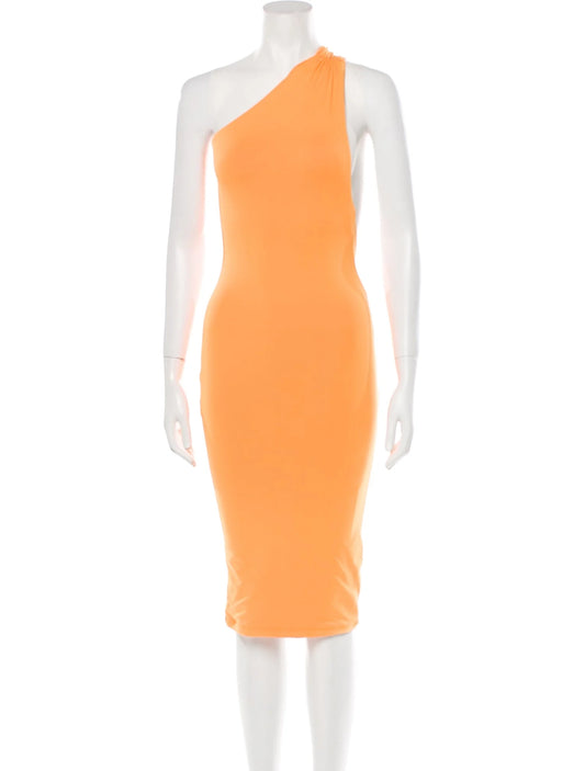 NWT ALIX NYC